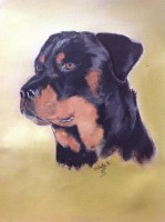 /album/galerie-photos/a558338-403075319758845-1872443193-n-1-jpg/